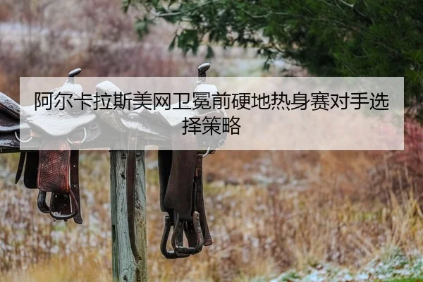 a-er-ka-la-si-mei-wang-wei-mian-qian-ying-di-re-shen-sai-dui-shou-xuan-ze-ce-lve-2-240.jpg