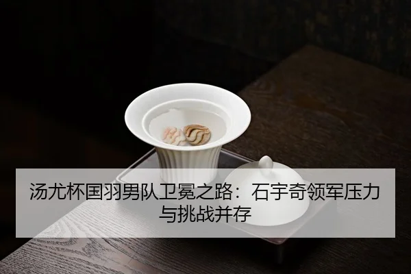 tang-you-bei-guo-yu-nan-dui-wei-mian-zhi-lu-shi-yu-qi-ling-jun-ya-li-yu-tiao-zhan-bing-cun-3-628.jpg