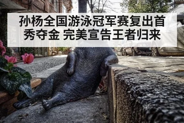孙杨全国游泳冠军赛复出首秀夺金 完美宣告王者归来